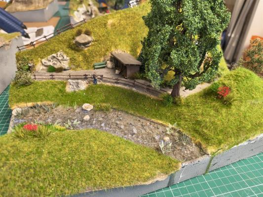 IMG_20251019_131708099_HDR